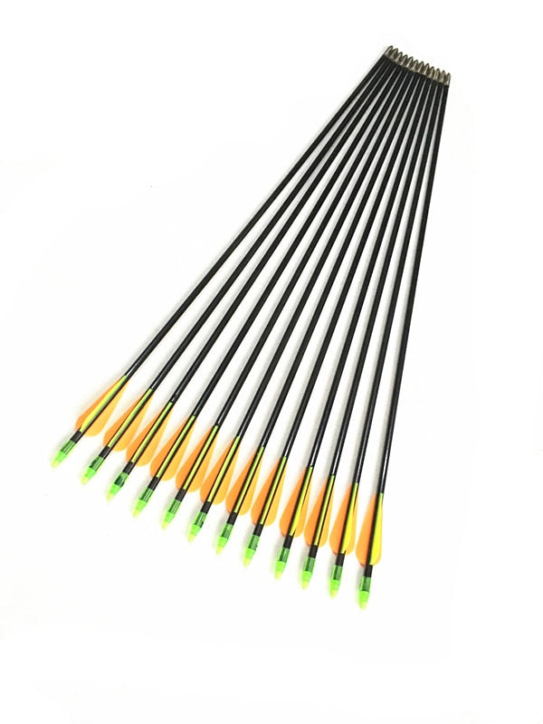 12 PCS  Length 80cm Fiberglass Arrows With Bullet Arrow