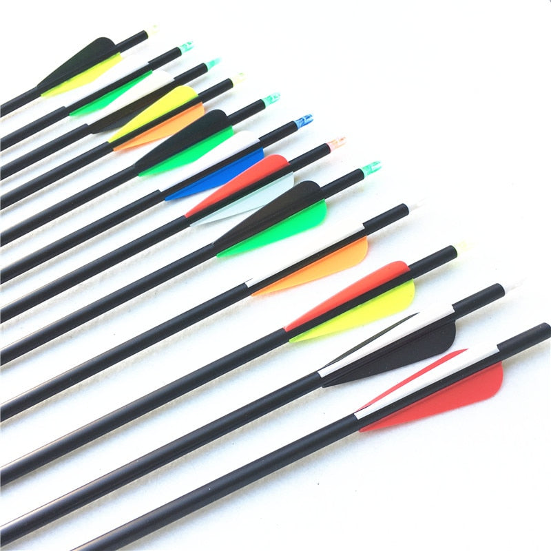 12 PCS 32 Inches Spine 600 Carbon Arrow in 12 Color