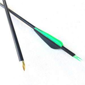 12 PCS 32 Inches Spine 600 Carbon Arrow in 12 Color